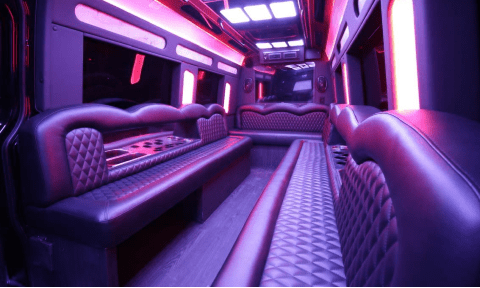 Waco 14 Passenger Sprinter Bus Interior